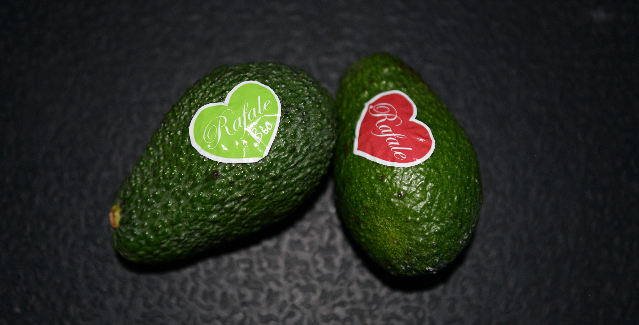 avocats