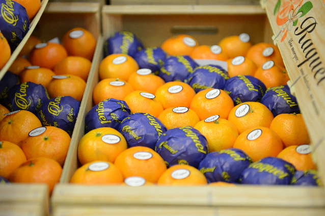 clementines